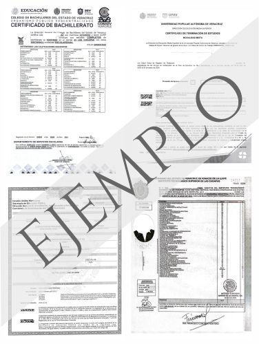 Ejemplo de Certificado de Estudios